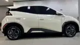 BYD Dolphin Mini - Miniatura 8