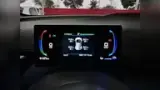 BYD Dolphin Mini - Miniatura 15