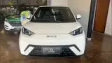 BYD Dolphin Mini - Miniatura 1