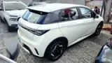 BYD Dolphin - Miniatura 6