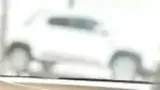 BYD Dolphin Mini - Miniatura 15