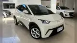 BYD Dolphin Mini - Miniatura 1