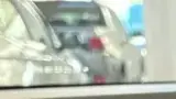 BYD Dolphin Mini - Miniatura 6