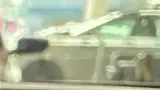 BYD Dolphin Mini - Miniatura 17