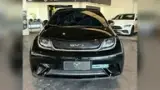 BYD Dolphin - Miniatura 1