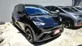 BYD Dolphin Mini - Miniatura 1
