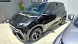 BYD Dolphin Mini - Miniatura 5