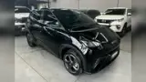 BYD Dolphin Mini - Miniatura 1