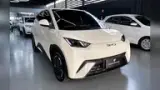 BYD Dolphin Mini - Miniatura 2