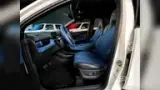 BYD Dolphin Mini - Miniatura 4