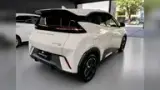 BYD Dolphin Mini - Miniatura 5