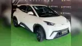 BYD Dolphin Mini - Miniatura 1