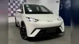 BYD Dolphin Mini - Miniatura 1