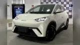 BYD Dolphin Mini - Miniatura 2