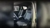 BYD Dolphin Mini - Miniatura 6