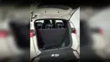 BYD Dolphin Mini - Miniatura 13
