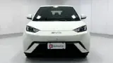 BYD Dolphin Mini - Miniatura 2