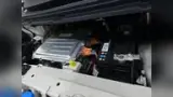 BYD Dolphin Mini - Miniatura 17