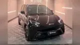 BYD Dolphin Mini - Miniatura 1