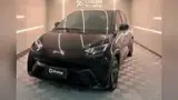 BYD Dolphin Mini - Miniatura 4
