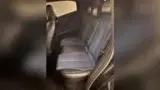 BYD Dolphin Mini - Miniatura 7