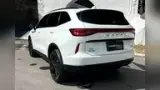 GWM Haval H6 Plug-in Hybrid - Miniatura 7