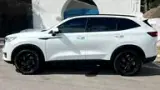 GWM Haval H6 Plug-in Hybrid - Miniatura 8
