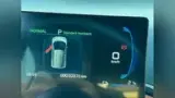 BYD Dolphin Mini - Miniatura 7