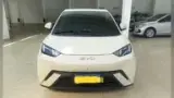 BYD Dolphin Mini - Miniatura 1