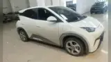 BYD Dolphin Mini - Miniatura 2