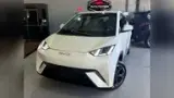 BYD Dolphin Mini - Miniatura 1