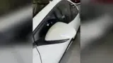 BYD Dolphin Mini - Miniatura 5