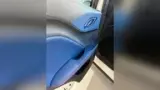 BYD Dolphin Mini - Miniatura 9