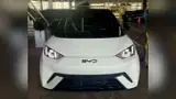 BYD Dolphin Mini - Miniatura 1