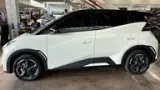 BYD Dolphin Mini - Miniatura 3