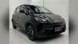 BYD Dolphin Mini - Miniatura 4