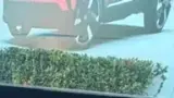 BYD Yuan Plus - Miniatura 2