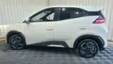 BYD Dolphin Mini - Miniatura 1