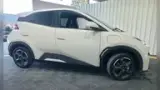 BYD Dolphin Mini - Miniatura 2