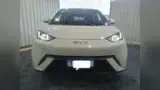 BYD Dolphin Mini - Miniatura 3