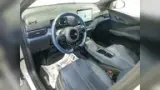 BYD Dolphin Mini - Miniatura 6