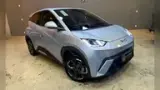 BYD Dolphin Mini - Miniatura 2
