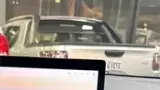 BYD Dolphin Mini - Miniatura 8