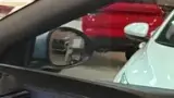 BYD Dolphin Mini - Miniatura 9