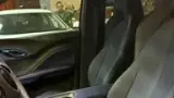 BYD Dolphin Mini - Miniatura 11