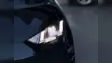 BYD Dolphin Mini - Miniatura 15
