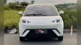 BYD Dolphin Mini - Miniatura 4