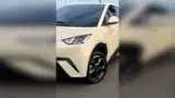 BYD Dolphin Mini - Miniatura 8