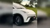 BYD Dolphin Mini - Miniatura 13