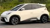 BYD Dolphin Mini - Miniatura 14